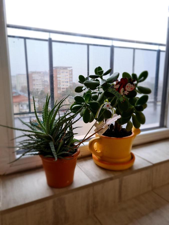 Cozy Apartment 阿拉德 外观 照片
