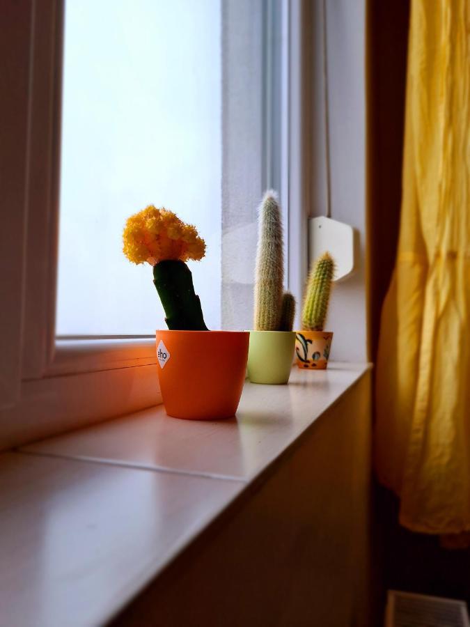 Cozy Apartment 阿拉德 外观 照片