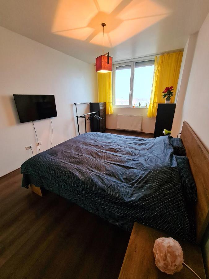 Cozy Apartment 阿拉德 外观 照片